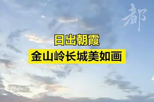 泪洒当场❤️蒂亚戈-席尔瓦深情告别蓝军：本想待1年没想到是4年